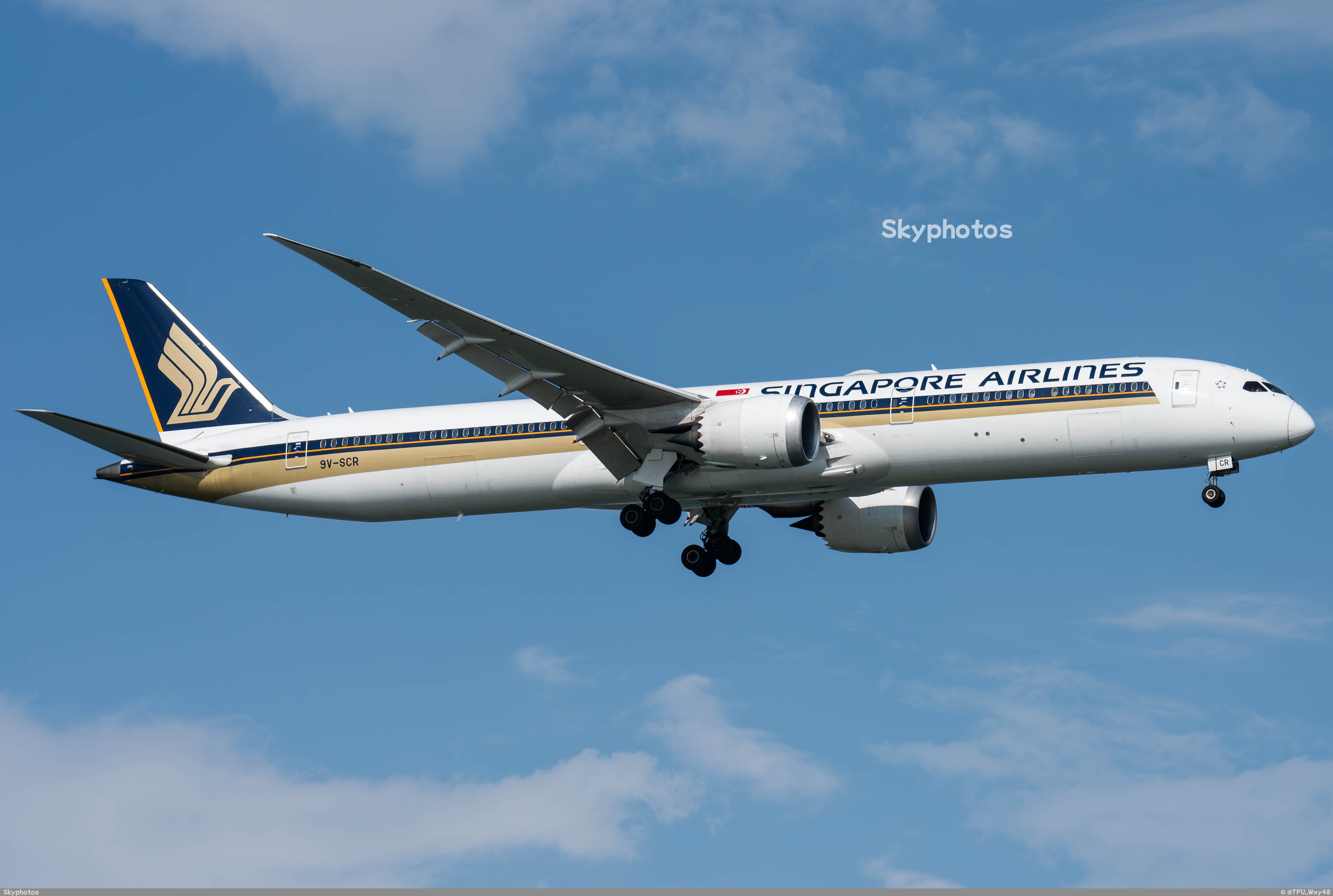 Singapore Airline Boeing 787-8